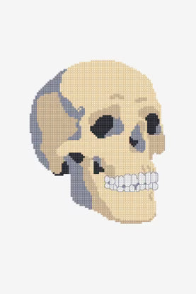 Gothic Skull Cross Stitch Pattern Digital Download Human Anatomy Embroidery Hoop Art Instant DIY Craft Spooky Halloween Decor