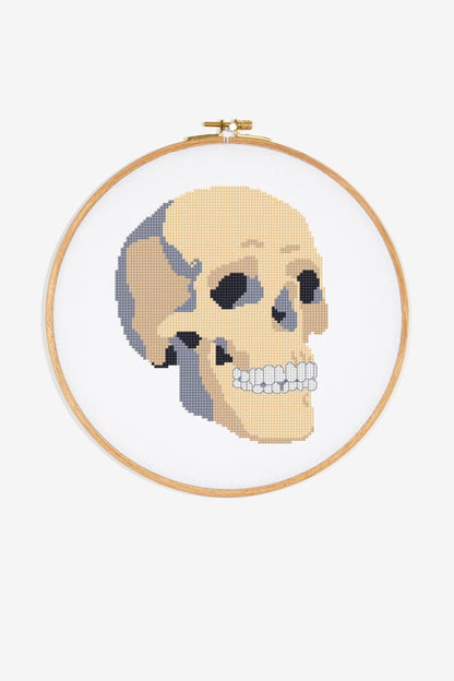 Gothic Skull Cross Stitch Pattern Digital Download Human Anatomy Embroidery Hoop Art Instant DIY Craft Spooky Halloween Decor