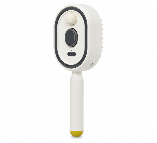 Steam Brush | Rechargeable Detangling Tool with Oil